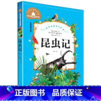 [正版]昆虫记 彩图注音版 世界文学名著宝库 6-12岁小学生一二三年级课外书儿童文学 小学生拼音版课外书 史琴 北