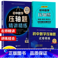 数学压轴题精讲精编+试卷+阅读探究新定义 9年级.3本套 初中通用 [正版]初中数学压轴题精讲精练试卷精编七年级初一数学