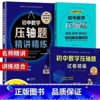数学压轴题精讲精编+试卷+阅读探究新定义 9年级.3本套 初中通用 [正版]初中数学压轴题精讲精练试卷精编七年级初一数学
