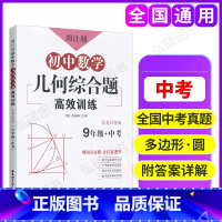 [正版]初中中考数学几何综合题高效训练周计划九年级数学强化训练三角形正方形菱形矩形初三专项练习题混合数学新思维华东理工