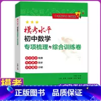 [正版]2022版模考水平初中数学专项训练与模拟试卷 齐敏 上海教育 数学辅导资料书拓展题型训练综合思维提优书籍 中考