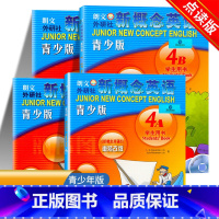 新概念英语青少版4a4b学生用书+练习册 [正版]朗文外研社 新概念英语青少版4a4b学生用书练习册全套4本少儿小学初中