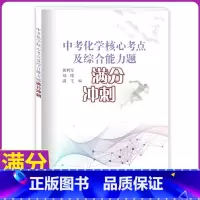 [正版]新版 中考化学核心考点及综合能力题满分冲刺 九年级全一册初三化学核心考点综合能力解析复习资料辅导书中学教辅 上