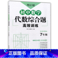 [正版]新版 周计划 初中数学代数综合题高效训练 七年级/7年级 答案详解版 中考真题提前演练 创新思维题型 华东理工
