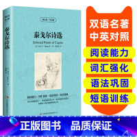 [正版]读名著 学英语 泰戈尔诗选 英汉双语读物 英语书籍名著双语版英语名著阅读课外读物小学初中英语读物中英双语读物