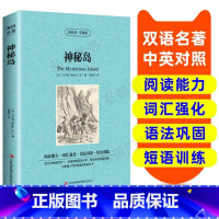 [正版]读名著 学英语 神秘岛 英汉双语读物 英语书籍名著 双语版英语名著 阅读课外读物 小学初中英语读物 中英双语读