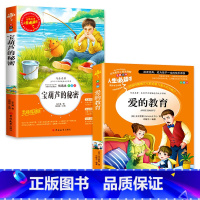 [正版]全套2册爱的教育原著完整版宝葫芦的秘密张天翼小学生课外阅读书籍三年级四年级阅读的课外书经典书目宝葫芦里的秘密A