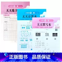1上活页天天默写+计算+练字(3本) 小学通用 [正版]2024新版活页天天默写本计算本小学语文练字本字帖数学同步练习册