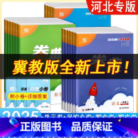 人教语文+人教数学+人教英语 六年级下 [正版]2025新 卷典冀教版一二三四五六年级上下册河北专版通城学典语文数学英语