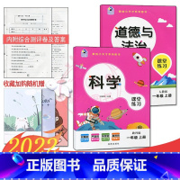 [正版]2024课堂练习家庭作业1一年级上册教科版科学+人教版道德与法治同步练习册课时单元知识梳理专项训练同步训练天天