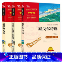 泰戈尔+契诃夫+培根 [正版]中小学生课外书必阅读快乐读书吧9九年级上下册呼兰河传老人与海泰戈尔诗选契诃夫短篇小说精选培