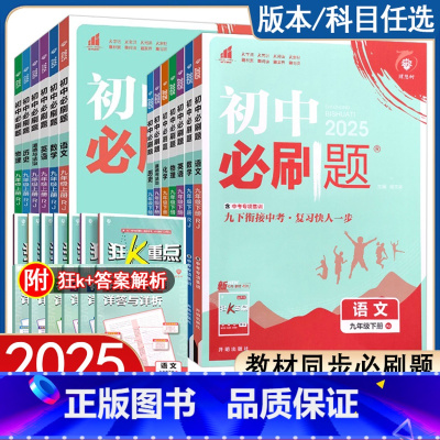 石家庄[全7本] 九年级上 [正版]科目任选2025版初中九年级下册语文数学英语物理化学政治历史冀教人教版全套教科版初三