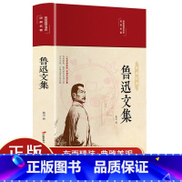 [正版]鲁迅文集 美绘版 彩图美绘国学系列 朝花夕拾呐喊彷徨 世界文学名著鲁迅小说杂文散文中小学生课外名著阅读书籍文学