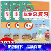 3册小升初语+数+英 小学升初中 [正版]任选乐双2023小学毕业总复习语文数学英语专项训练含小升初真题卷小升初系统总复