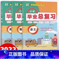3册小升初语+数+英 小学升初中 [正版]任选乐双2023小学毕业总复习语文数学英语专项训练含小升初真题卷小升初系统总复