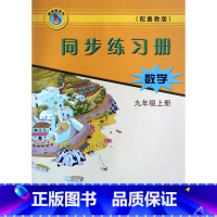 数学 九年级上 [正版]2023冀教版初中数学同步练习册9年级九年级上册随堂检测河北教育出版社基础训练