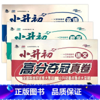 语文+数学+英语 小学升初中 [正版]2024小升初高分夺冠真卷语文数学英语学业水平测试重点中学名校名卷小考复习冲刺训练