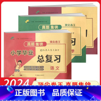 语文+数学+英语 小学升初中 [正版]2024卷王小学毕业总复习语文数学英语真题集锦升学测试真题卷初一入学分班模拟测试卷
