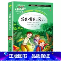 [六年级下册必读]汤姆索亚历险记 [正版]汤姆索亚历险记六年级必读课外书原著小学版快乐读书吧马克吐温三四五六年级老师阅读