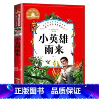小英雄雨来 [正版] 小英雄雨来 注音版 管桦著 小学生一小英雄雨来彩图注音
