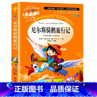 尼尔斯骑鹅旅行记 [正版]尼尔斯骑鹅旅行记六年级原著完整版小学生三四五年级必读课外书籍老师阅读经典快乐读书吧儿童文学世界