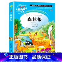 森林报 [正版]森林报春夏秋冬四年级故事绘本全套全彩美绘版小学生三五六年级必读课外书籍寒假阅读经典儿童文学世界名著小说故