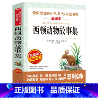 西顿动物故事集 [正版]西顿动物故事全集动物小说集小学生三四年级课外书必读寒假的五六年级阅读书籍经典书目适合儿童8—12