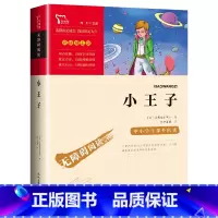 小王子 [正版]小王子小学生必读课外书四五六年级阅读书籍儿童文学