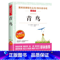 青鸟 [正版]青鸟书籍小学生课外书必读三四五年级阅读儿童文学名著小说