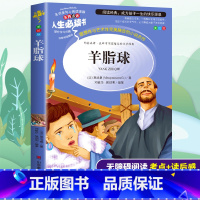 [正版]羊脂球莫泊桑全集儿童文学世界经典小说故事三到六年级小学生必读课外书籍寒假阅读名著导读考点精练短篇小说精选