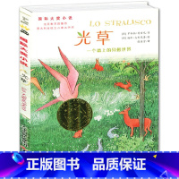 [正版] 光草国际小说大奖升级版7-9-10-12-15岁少儿图书文学书籍中小学生三四五六年级课外书经典世界文学名著小