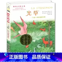 [正版] 光草国际小说大奖升级版7-9-10-12-15岁少儿图书文学书籍中小学生三四五六年级课外书经典世界文学名著小