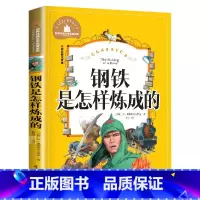 钢铁是怎样练成的 [正版]钢铁是怎样炼成的 儿童彩图注音版 世界经典文学 儿童文学6-12岁 少儿图书 寒假课外书目 亲