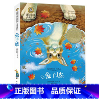 [正版]坡彩图 国际大奖儿童文学系列 文学经典作品 儿童读物少儿童话故事 三四五六年级小学生课外小说读物