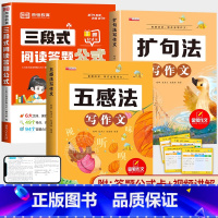 三段式阅读+扩句法+五感法写作文 小学通用 [正版]小学生语文阅读答题公式三段式阅读理解专项训练书一二三四五六年级小学通