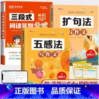 三段式阅读+扩句法+五感法写作文 小学通用 [正版]小学生语文阅读答题公式三段式阅读理解专项训练书一二三四五六年级小学通