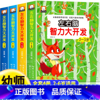 [全4册]左右脑思维训练2-6岁 [正版]全套4册 左右脑思维训练2-3-4-5-6岁 幼儿全脑开发大脑智力开发专注力训