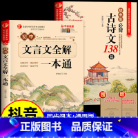 [全4册]文言文+古诗文+文学常识+名著导读 初中通用 [正版]2024版 初中文言文全解一本通必背古诗文138篇首全国