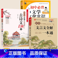 [套装3册]文学常识+文言文全解+古诗文 初中通用 [正版]2024版初中必背文学文化常识人教版语文初中生中国古代历史现