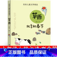 草原北京的春节 [正版]草原北京的春节老舍原著六年级上册必读的课外书老师青少年阅读书籍精选儿童经典书目老舍经典作品全集散