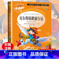 [正版]尼尔斯骑鹅旅行记 小学生三四五六年级下册必读课外阅读书籍彩图绘本7-9-10-12岁青少年版儿童文学书目故事书