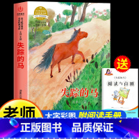 [送手册]失踪的马 [正版]蜗牛的森林王一梅著三四五六年级必读课外书老师阅读经典书目小学生课外阅读书籍适合9-12岁孩子