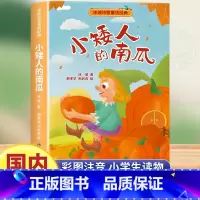 小矮人的南瓜 [正版]小矮人的南瓜 全彩注音版 冰波 一二年级小学生课外书阅读阅读 语文教科书同步阅读书目快乐读书吧丛书
