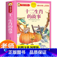 十二生肖的故事 [正版]十二生肖的故事彩图注音完整版 十二生肖绘本故事书二十四节气故事小学生一二三年级课外书必读 7-9