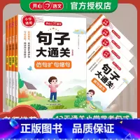 句子大通关(全4册) 小学通用 [正版]2024新版小学语文句子大通关(全4册)一二三四五六年级句式转换修改病句扩写缩写