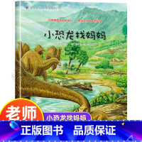 小恐龙找妈妈 [正版]小恐龙找妈妈 幼儿园绘本书阅读3-4-6岁 儿童科普读物科学启蒙睡前故事书 老师三到四五岁宝宝启蒙