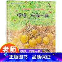 哎呀,吓我一跳 [正版]哎呀,吓我一跳 幼儿园绘本书阅读3-4-6岁 儿童科普读物科学启蒙睡前故事书 老师三到四五岁宝宝