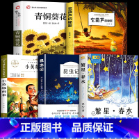 [5册]繁星春水+昆虫记+宝葫芦+小英雄雨来+青铜葵花 [正版]繁星春水 冰心原著 小学生散文读本三年级四年级下册阅读课