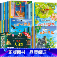 [注音全32册]奇趣大自然科普绘本第一二三四辑 [正版]名家获奖一年级阅读课外书必读老师全套40册儿童绘本6一8岁适合小