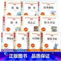 [全套10册]鲁迅作品全集 [正版]全套18册鲁迅全集经典必读原著 老舍散文集精选作品 朝花夕拾狂人日记故乡野草故事新编